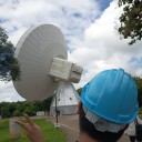 masongrizchel avatar