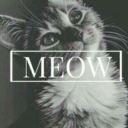 masonkenndall21 avatar