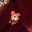 massacustehts avatar