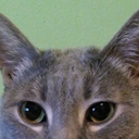 masseffuckoff avatar