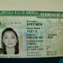 massiveanchorpenguin avatar