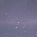 massivefestivalmusic avatar