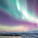 massivelovermuffinfire avatar