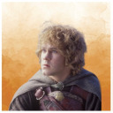 master-meriadoc avatar