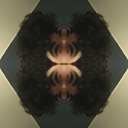 master-of-elaboration avatar