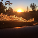 master-of-naps avatar