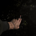 mastergardener420 avatar