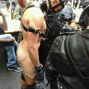 masterhollywood avatar