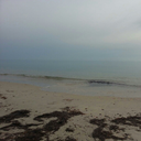 masterking1952 avatar