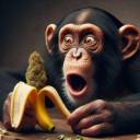 mastermindmadness avatar