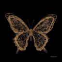 mastermindmiko avatar