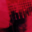 masterofosservanza avatar