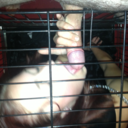 masterskyguy1985 avatar