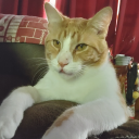 mastersteb7265 avatar