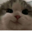 matalos-con-delicadeza avatar