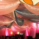 matariaporser-elfrio avatar