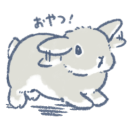 matchabunnies avatar