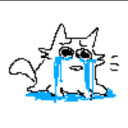 matches-is-meow avatar