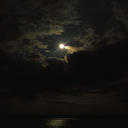 matchstick1701 avatar