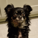 mate-of-regis-and-dettlaff avatar