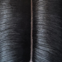 mater-suspiriorum avatar