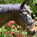 materialisteq avatar