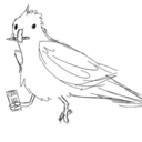 mathbirb avatar