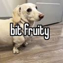 mathematicallychallengedlesbian avatar