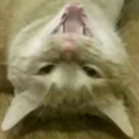 mathgeck-blog avatar