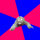 mathmajorsloth avatar