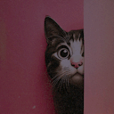 mathoumatoufait avatar