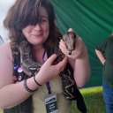 maths-witch-is-here avatar