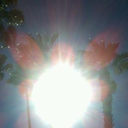 matt-stone-ny avatar