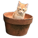 matt-w-blogging avatar