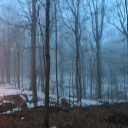 matthiastalksalot avatar