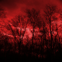 mattlazphotos avatar