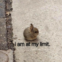 mattsmithrockstheworld avatar