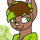 mattthecat2469 avatar