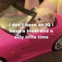 mattygoesboom avatar