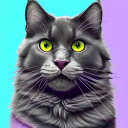 maumainecoon avatar