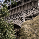 mauriciodefex avatar