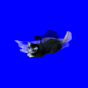 mauv-the-bluest-alt-ever avatar