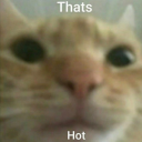 maverickdoesntcount avatar