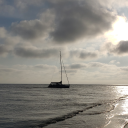 maverickdragon88 avatar