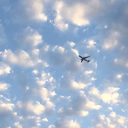 maverickhavoc avatar