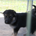 mavericklynch avatar