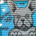 mavikadarsonsuzolmak avatar