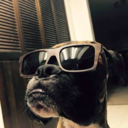 maximillian5000 avatar