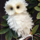 maximumcatastrophe avatar