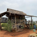 maximumgladiatorlover avatar